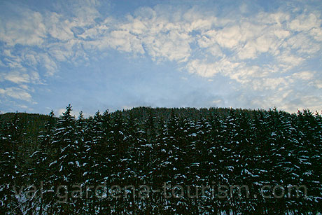 Wald in Wolkenstein foto